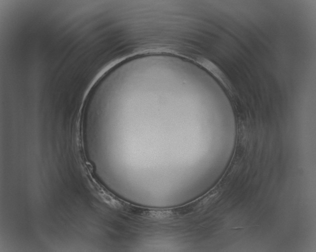 X0000067491052200604211654