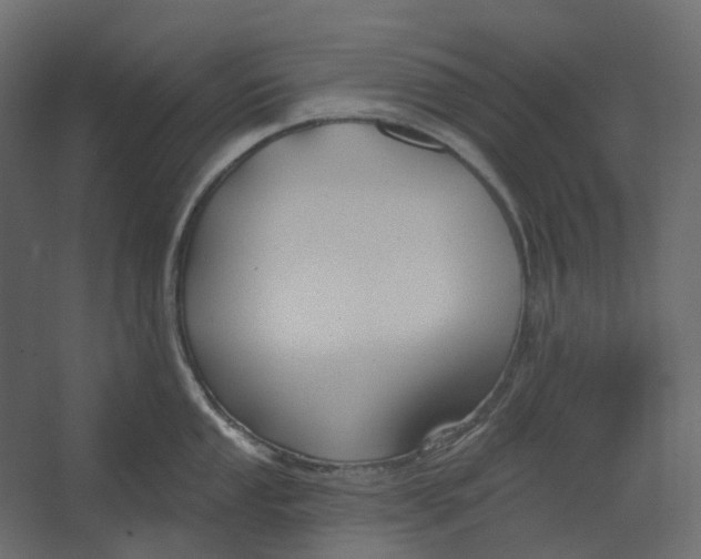 X0000067491053200604211654