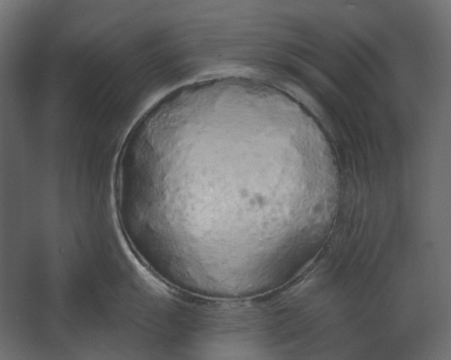 X0000067491055200604211654