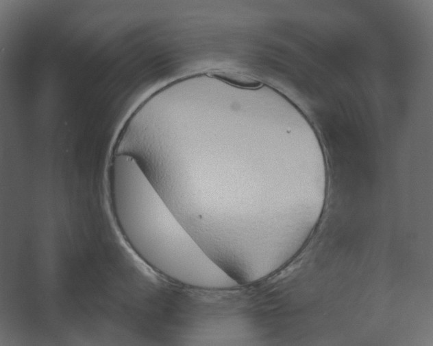 X0000067491056200604211654