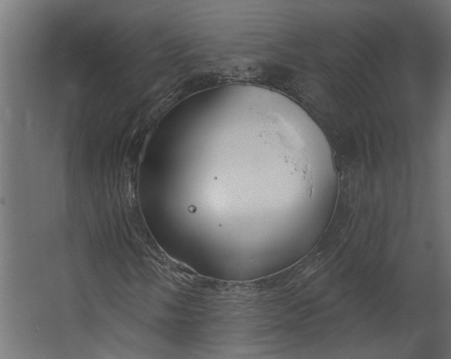 X0000067491058200604211653