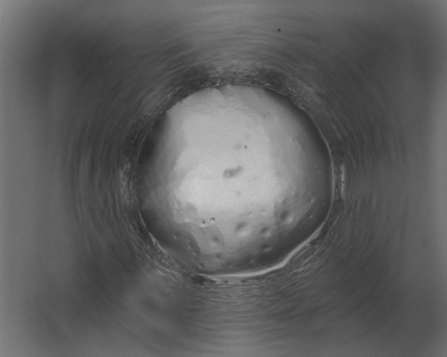 X0000067491059200604211653