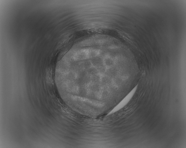 X0000067491060200604211653