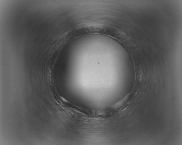 X0000067491061200604211653