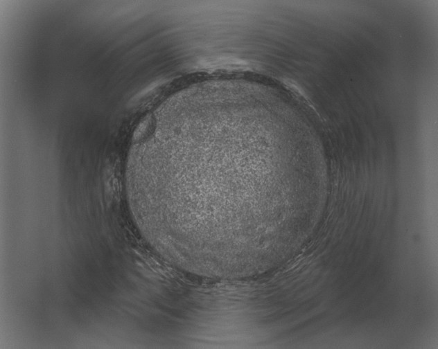 X0000067491063200604211653