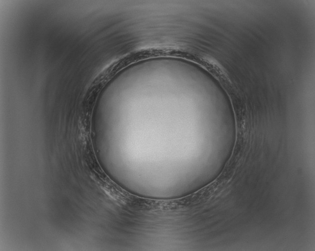 X0000067491064200604211653