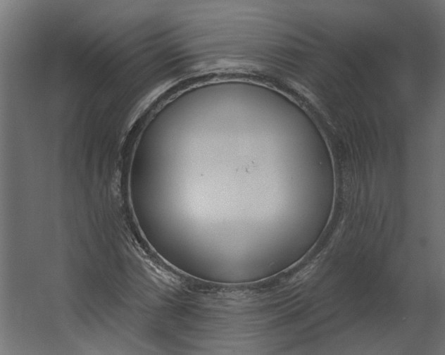 X0000067491066200604211653