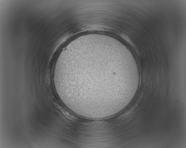 X0000067491067200604211653