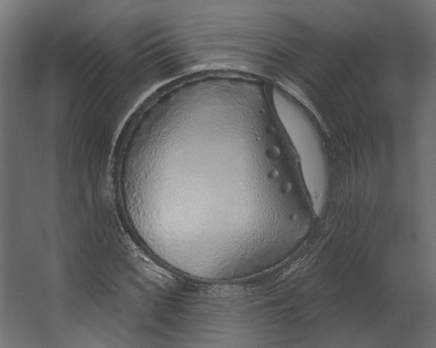 X0000067491068200604211653