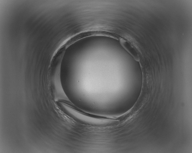 X0000067491069200604211653