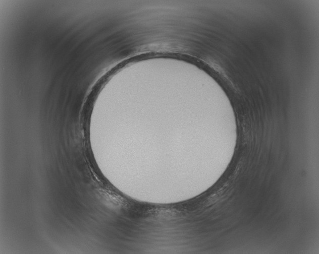 X0000067491070200604211653