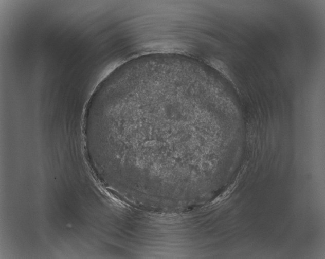 X0000067491071200604211653