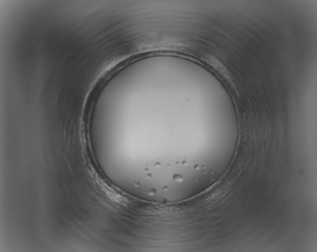 X0000067491072200604211653