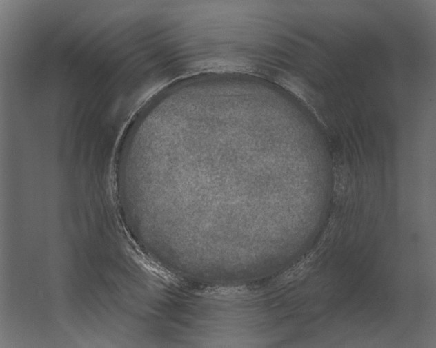 X0000067491074200604211653