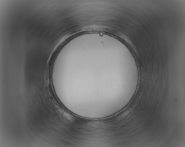 X0000067491075200604211653