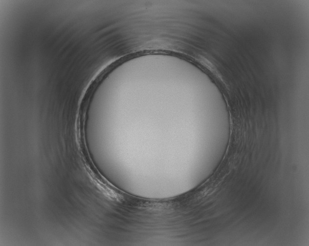 X0000067491076200604211653