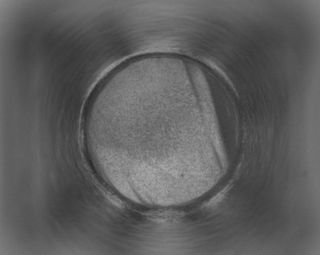 X0000067491077200604211653