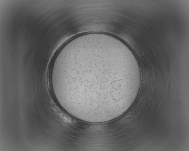 X0000067491078200604211653