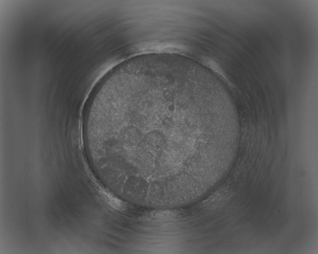 X0000067491079200604211653