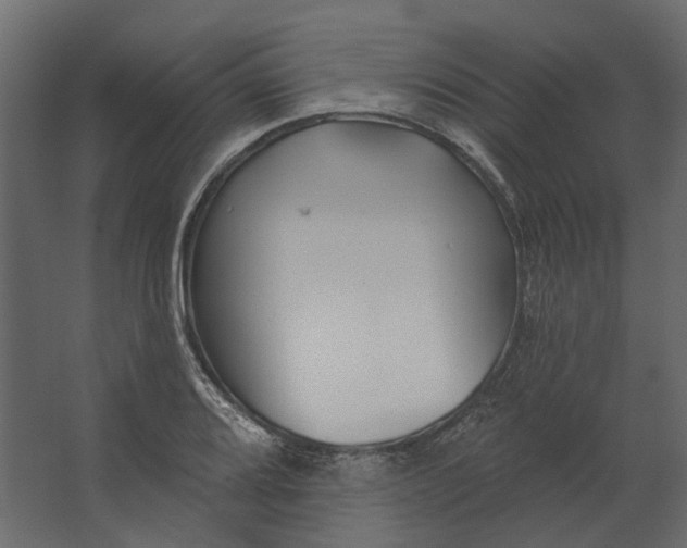 X0000067491080200604211653