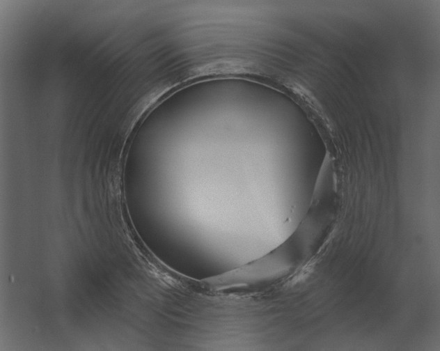 X0000067491081200604211653