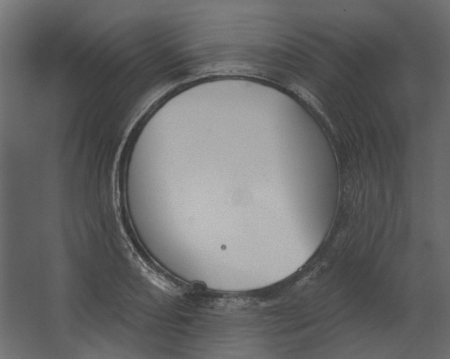 X0000067491082200604211653