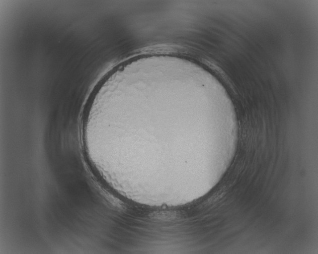 X0000067491083200604211653