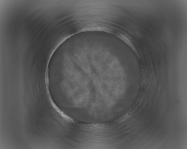 X0000067491084200604211653