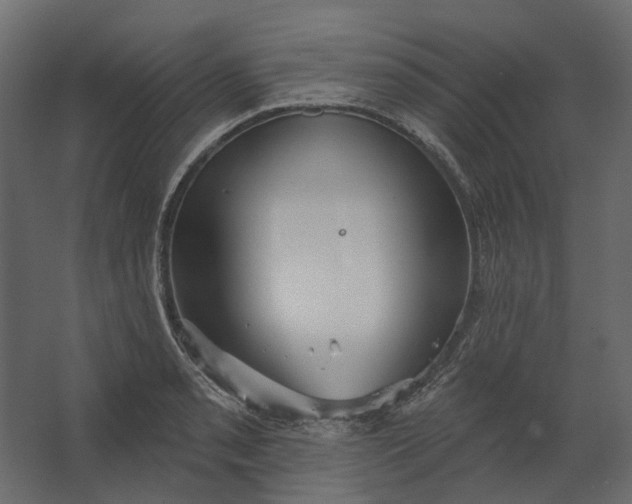 X0000067491085200604211653