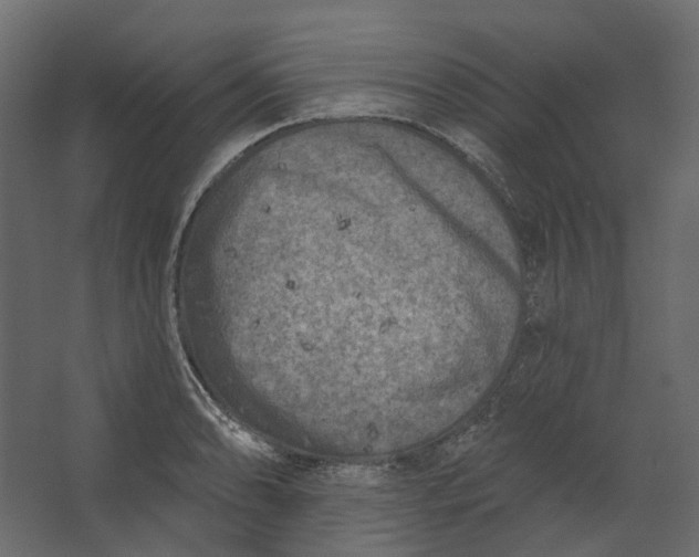 X0000067491086200604211653