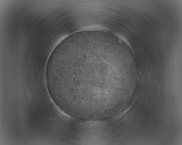 X0000067491087200604211653