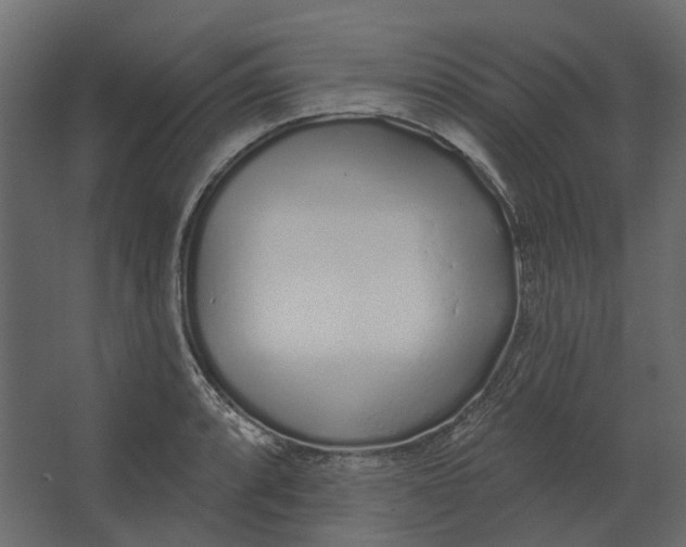 X0000067491088200604211653