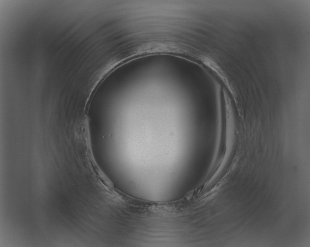 X0000067491089200604211653