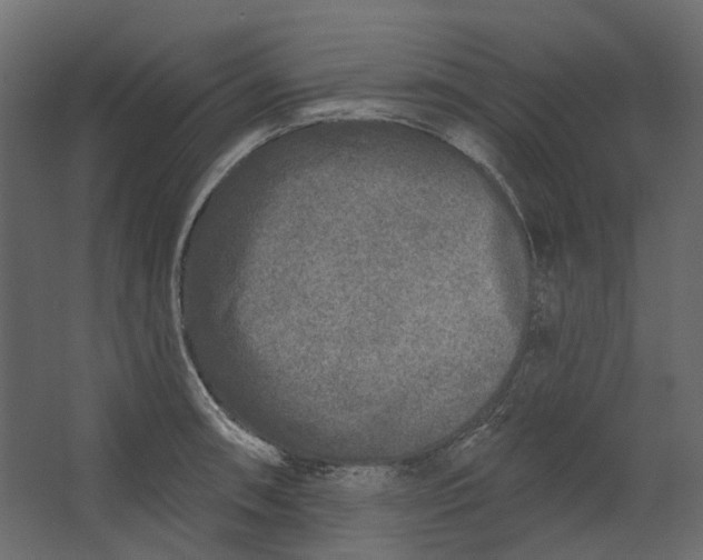 X0000067491090200604211653