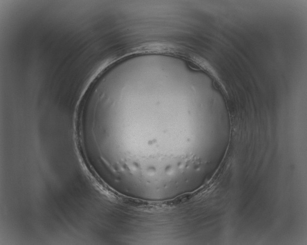 X0000067491091200604211653