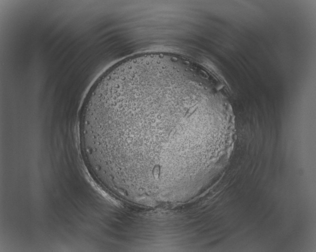 X0000067491092200604211652