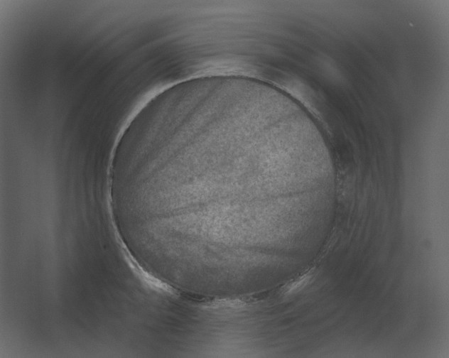 X0000067491094200604211652