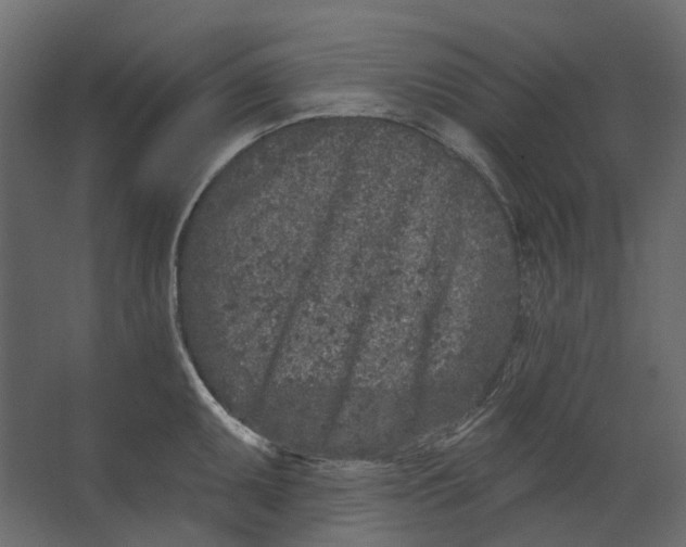 X0000067491095200604211652