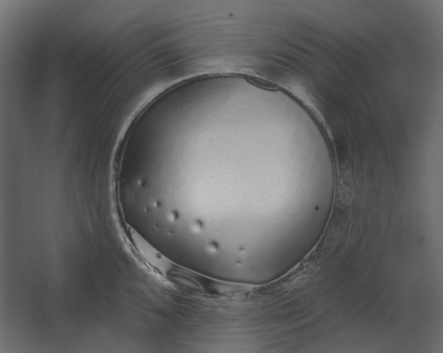 X0000067491096200604211652