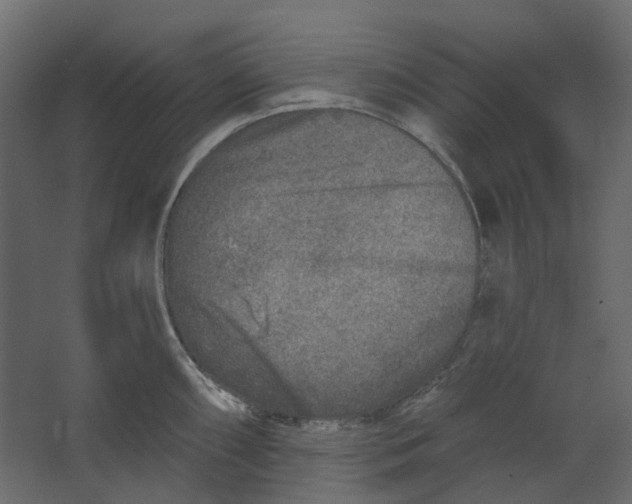 X0000067491098200604211652