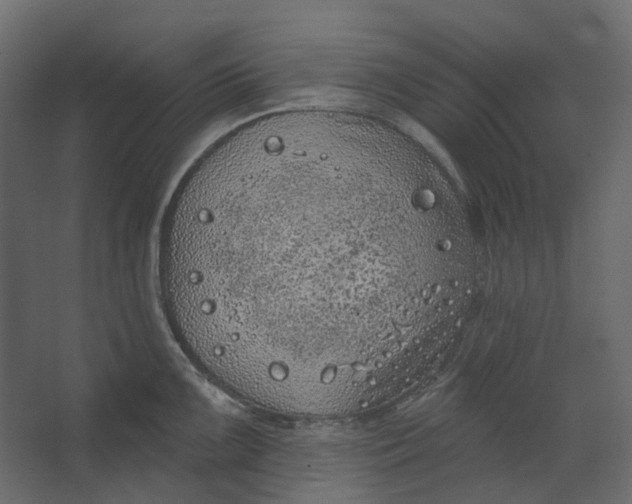 X0000067491099200604211652