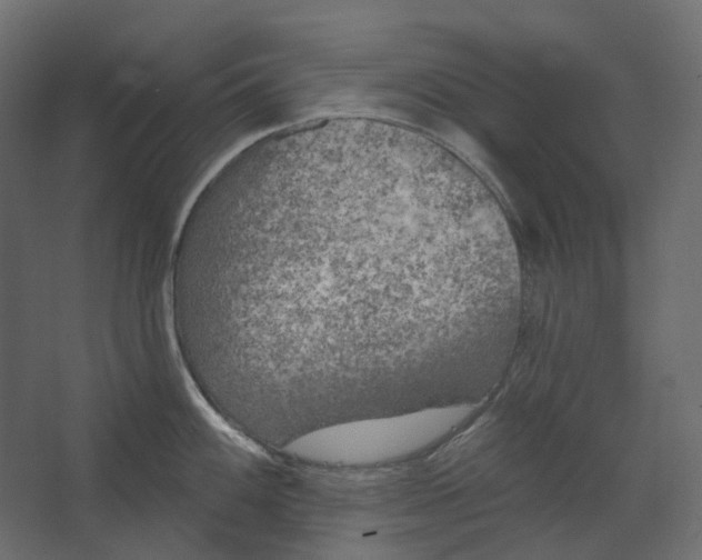 X0000067491100200604211652