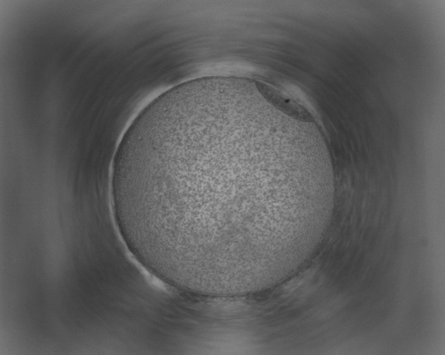 X0000067491103200604211652