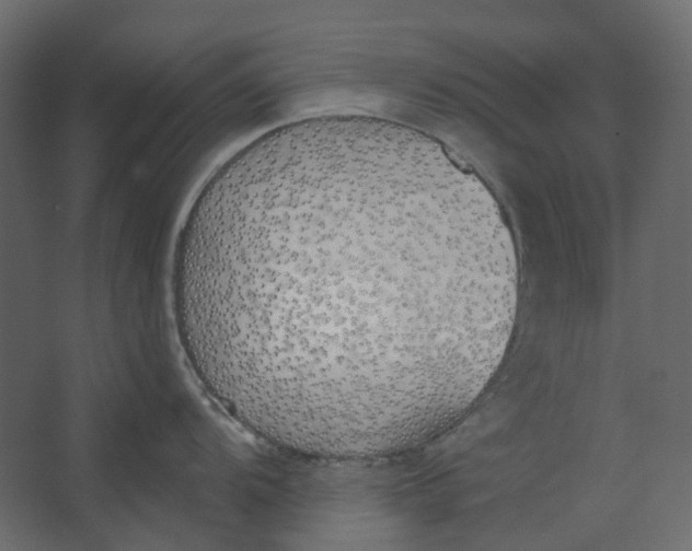 X0000067491104200604211652