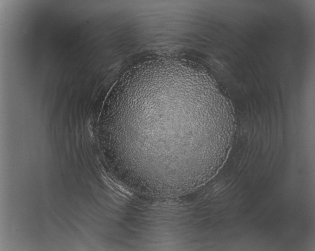 X0000067491106200604211652