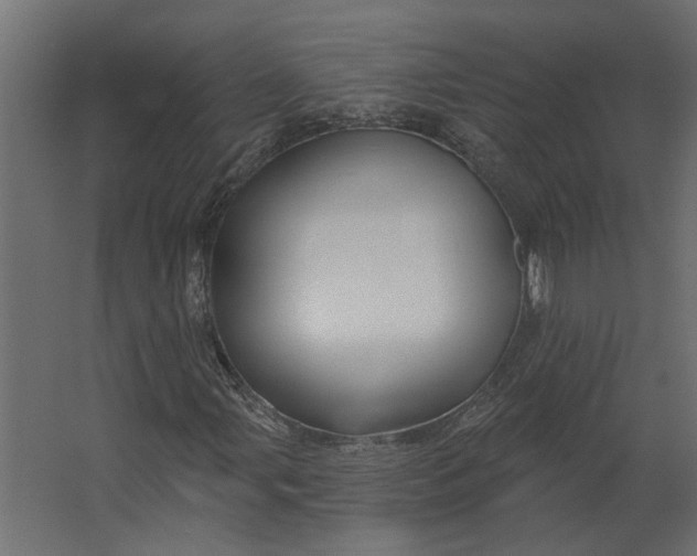 X0000067491107200604211652