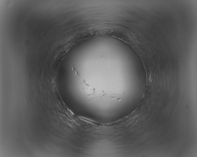 X0000067491109200604211652