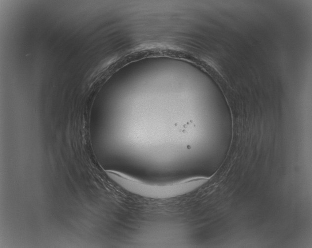 X0000067491111200604211652