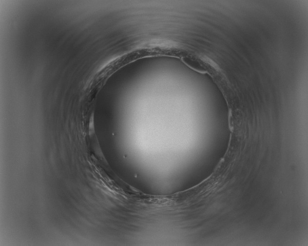 X0000067491112200604211652