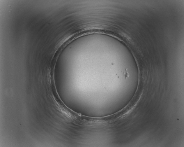 X0000067491113200604211652